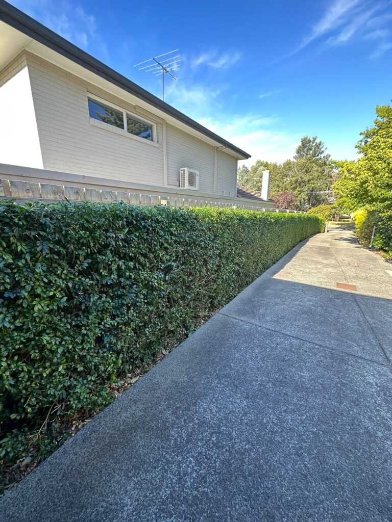 Hedging Melbourne