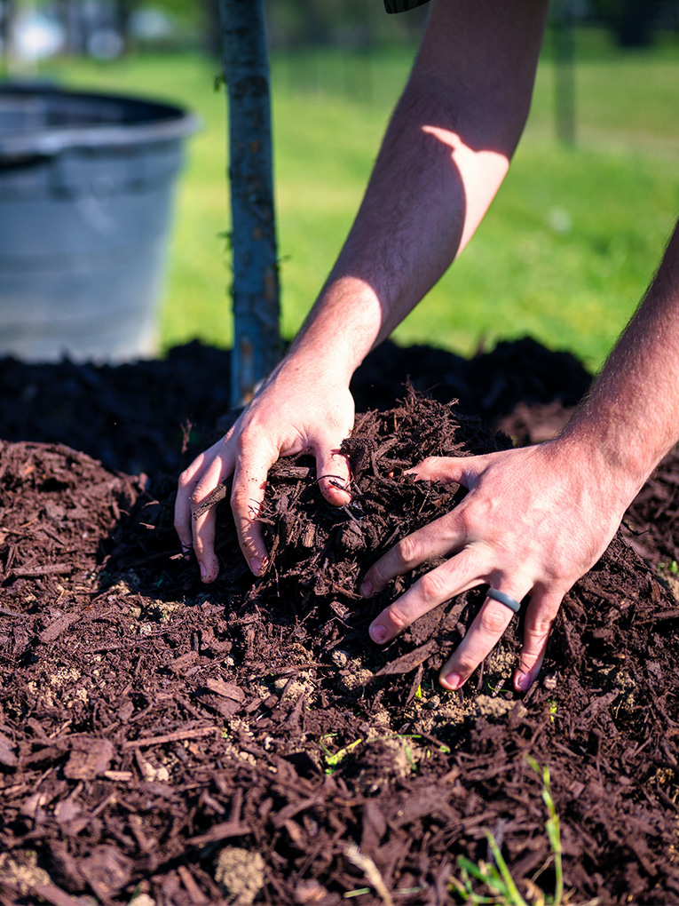 Mulching Melbourne